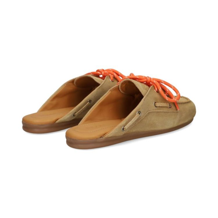  206 TAN