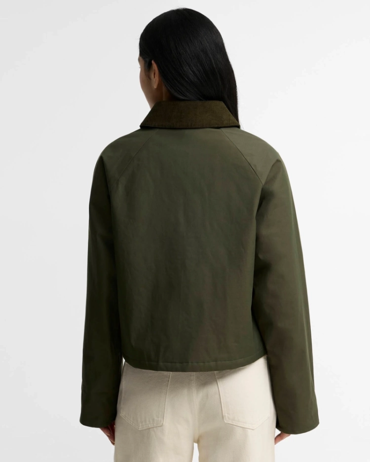 OL51 OLIVE/SHAD