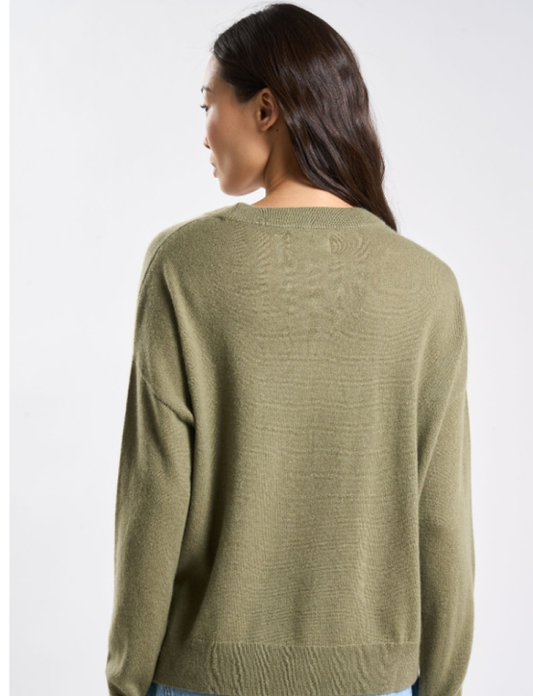  OLIVE