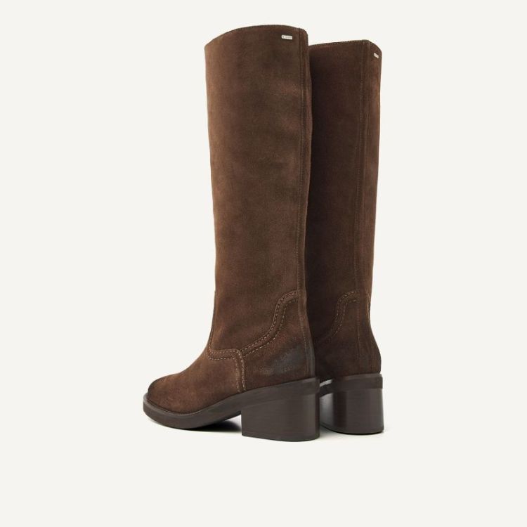 28S D.BROWN