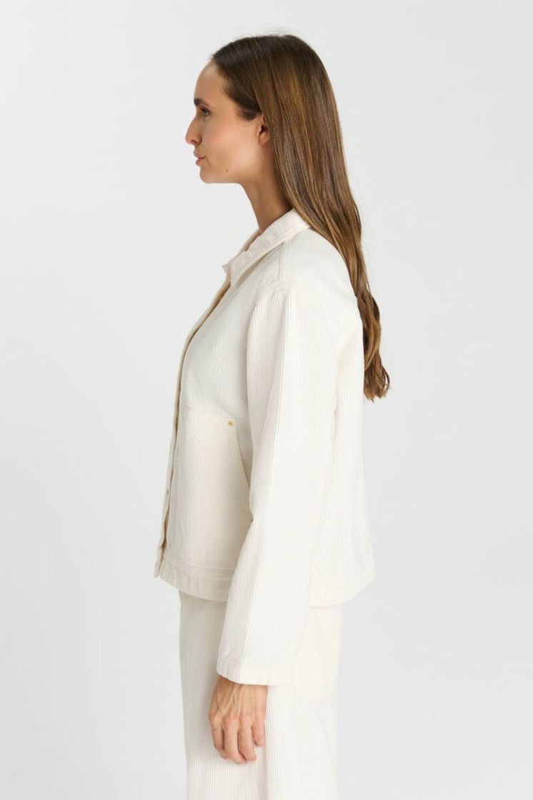  1078 IVORY
