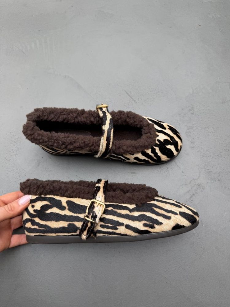 703 ZEBRA