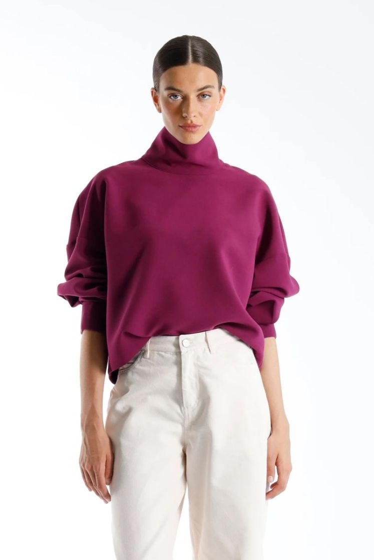 495 AUBERGINE