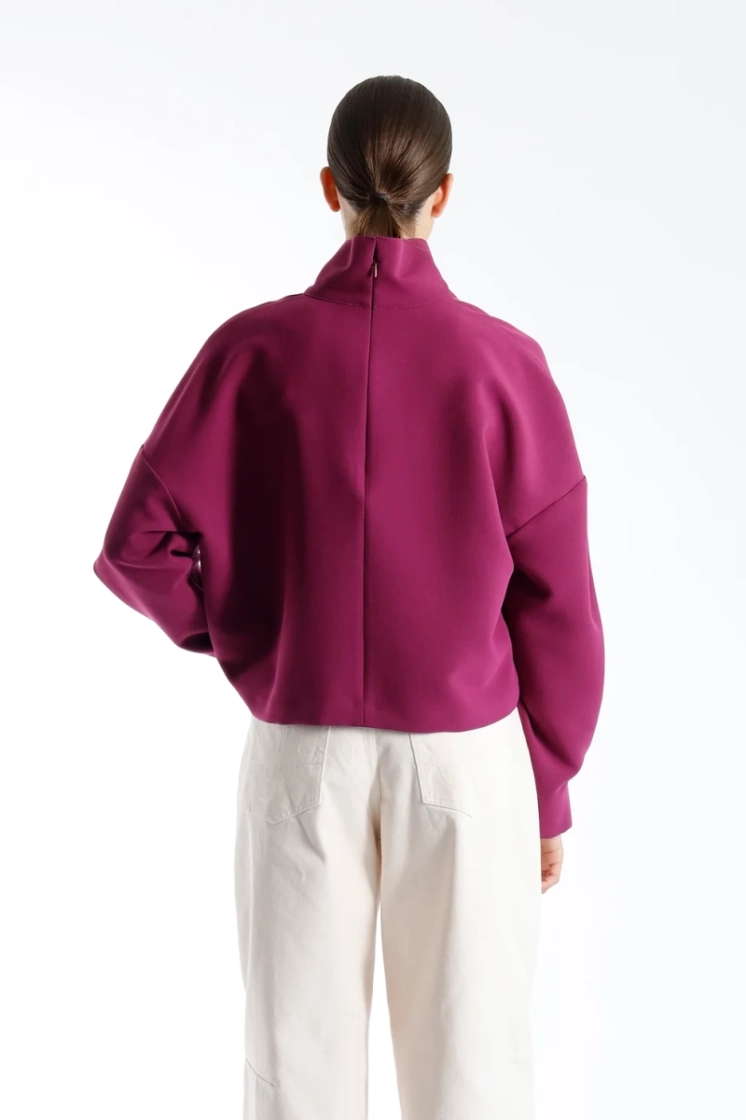 495 AUBERGINE